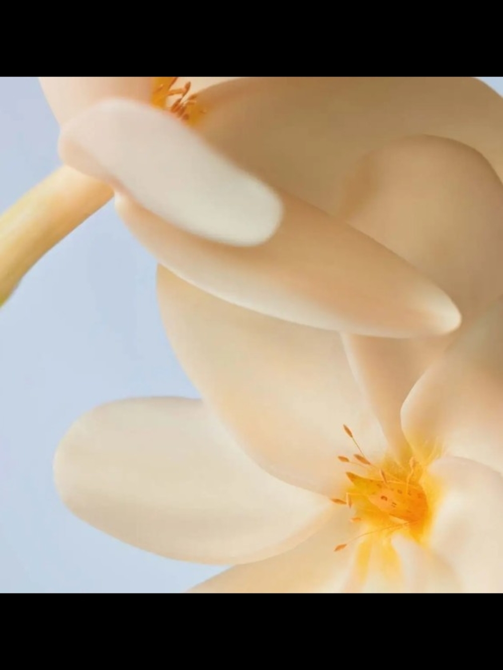 Yves Rocher Hand Cream Monoï - Picture 6 of 8